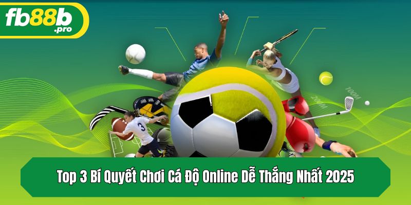 Top 3 Bí Quyết Chơi Cá Độ Online Dễ Thắng Nhất 2025